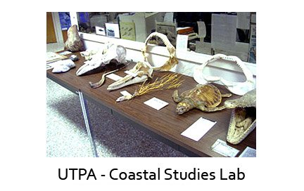 Coastal Studies Lab